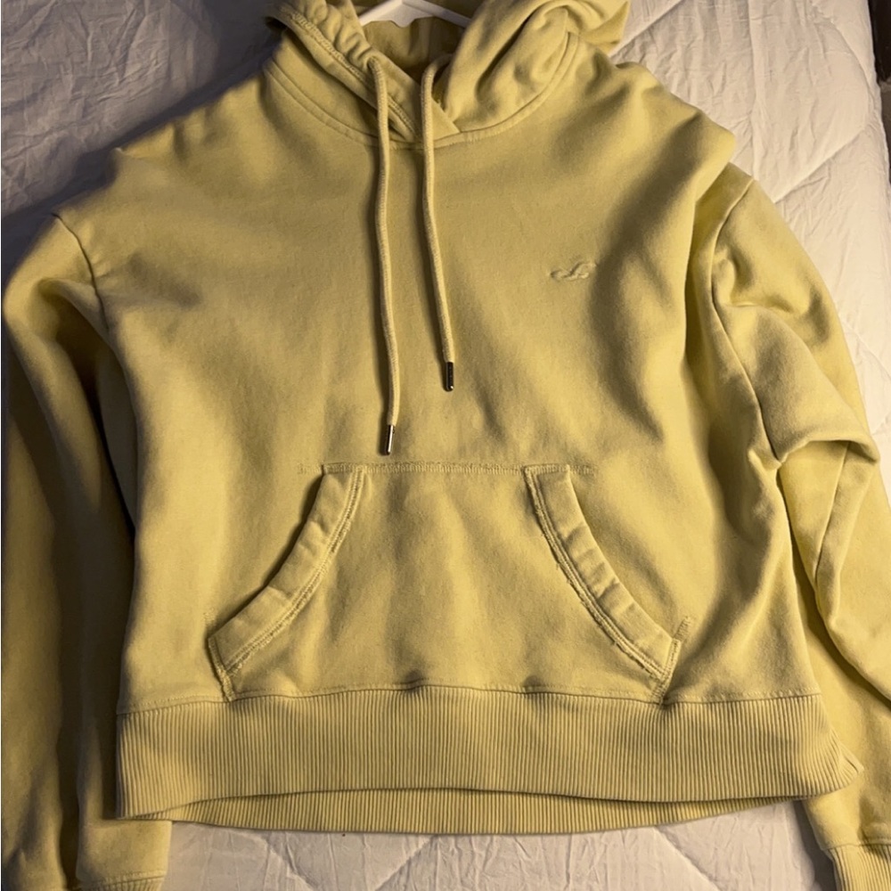 Cropped Hollister Hoodie